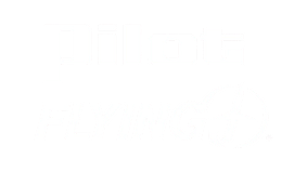 pilot